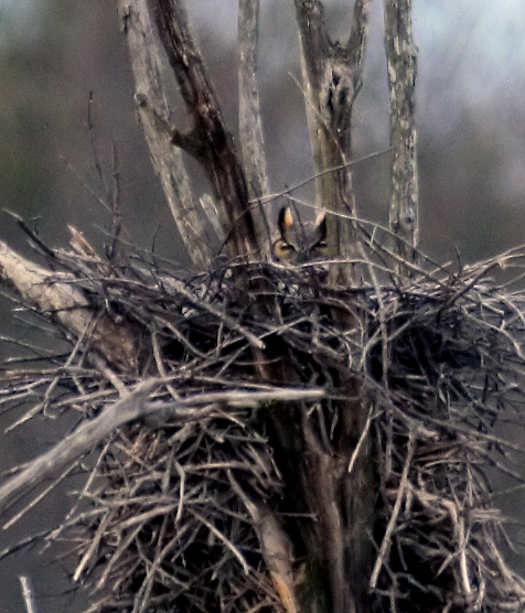 [2007-04-10+190201+5b.jpg]