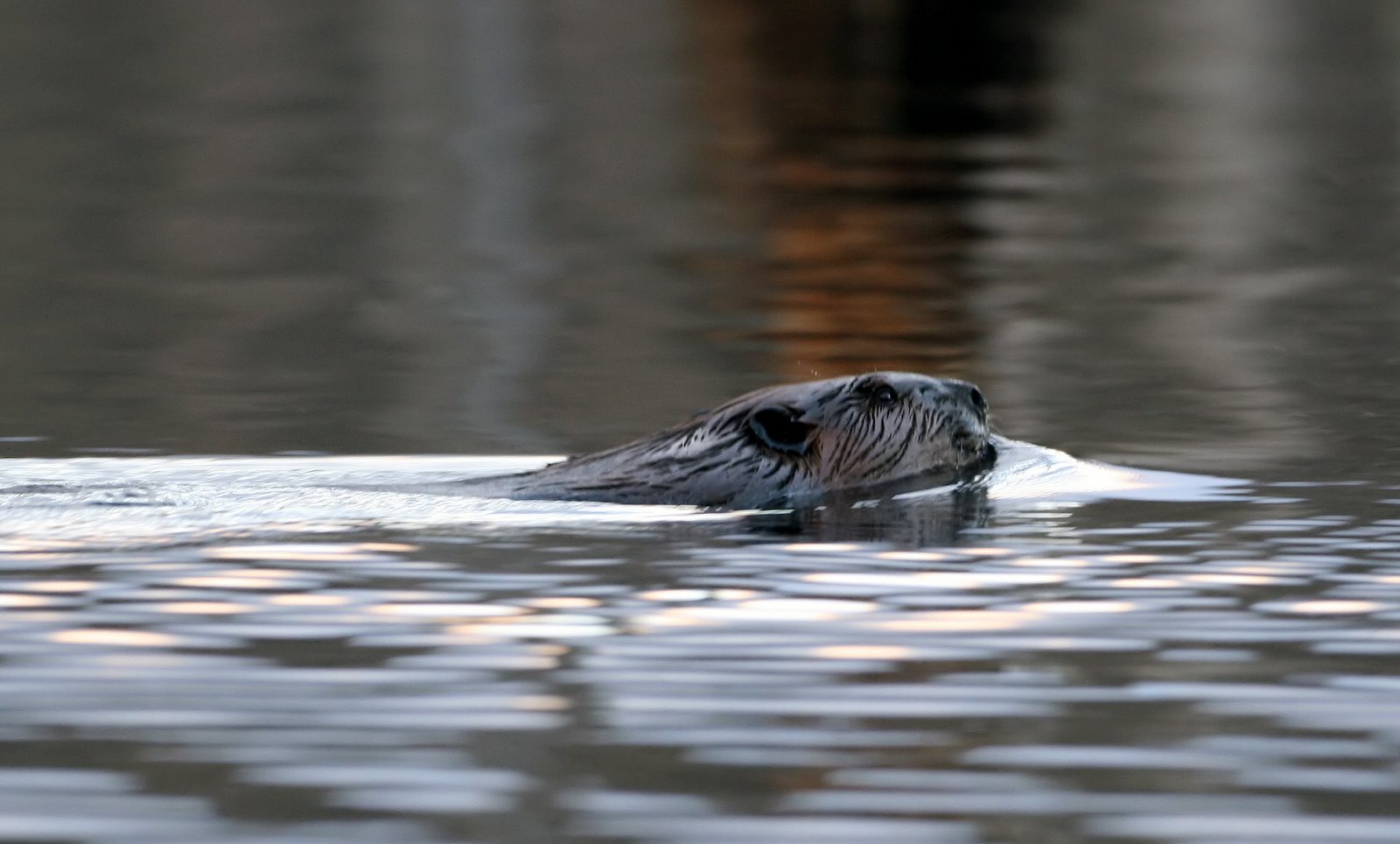 [2007-04-10+185411+9a.jpg]