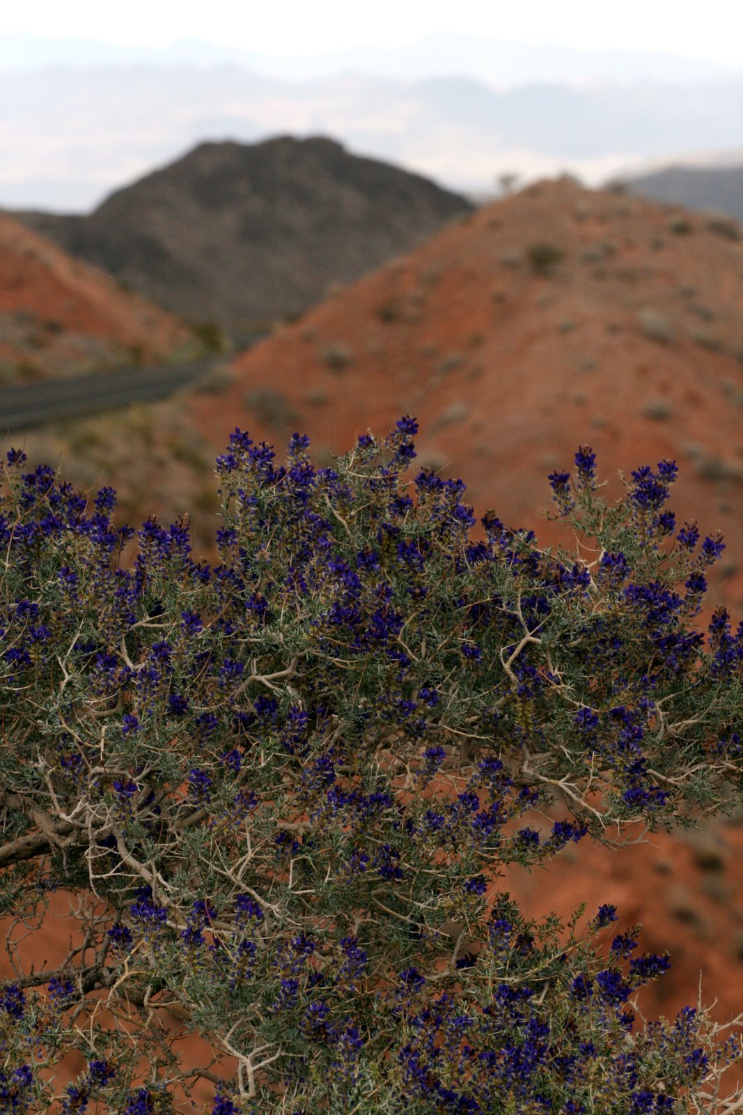 [2007-04-15+163914+8.JPG]