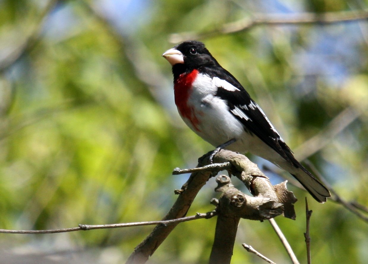 [2007-05-13+142004+2.JPG]