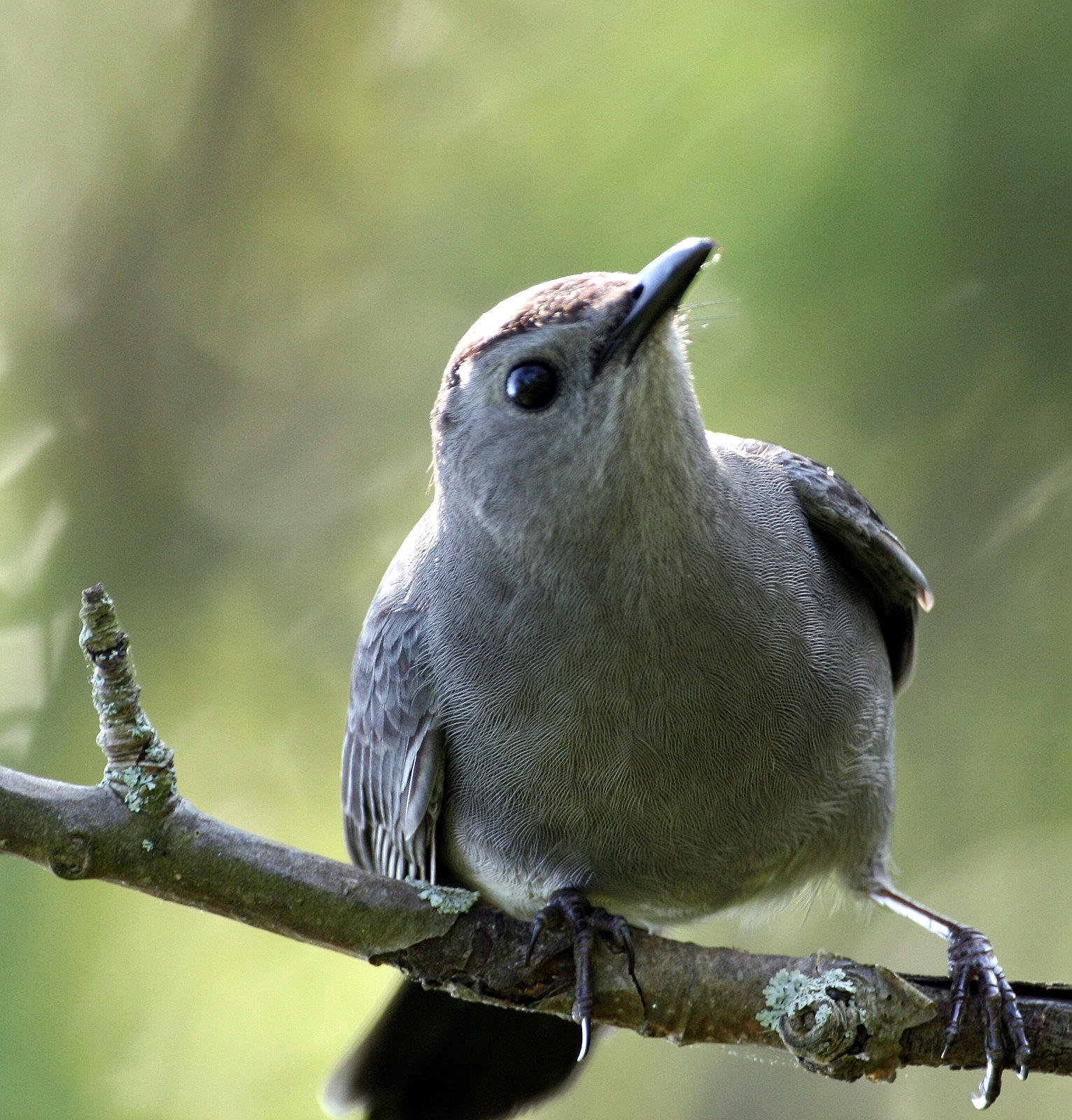 [2007-05-24+085517+8.JPG]