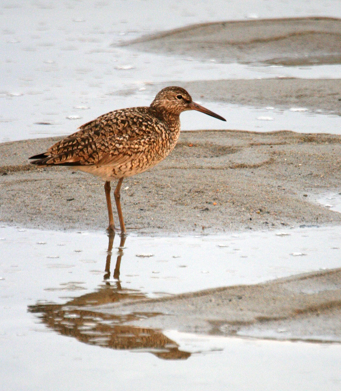 [2007-05-26+052645+5.JPG]