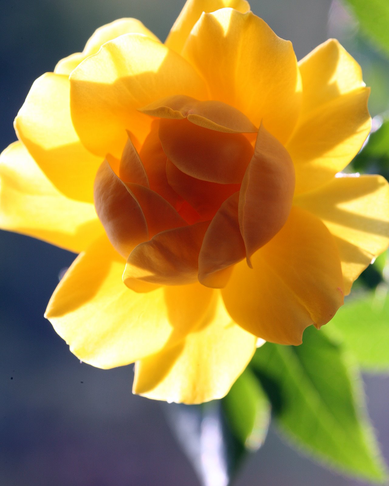 [2007-06-08+074058+6.JPG]