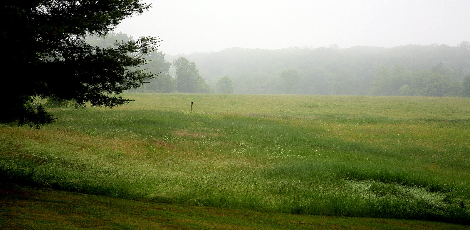 [2007-06-09+172849+0.JPG]