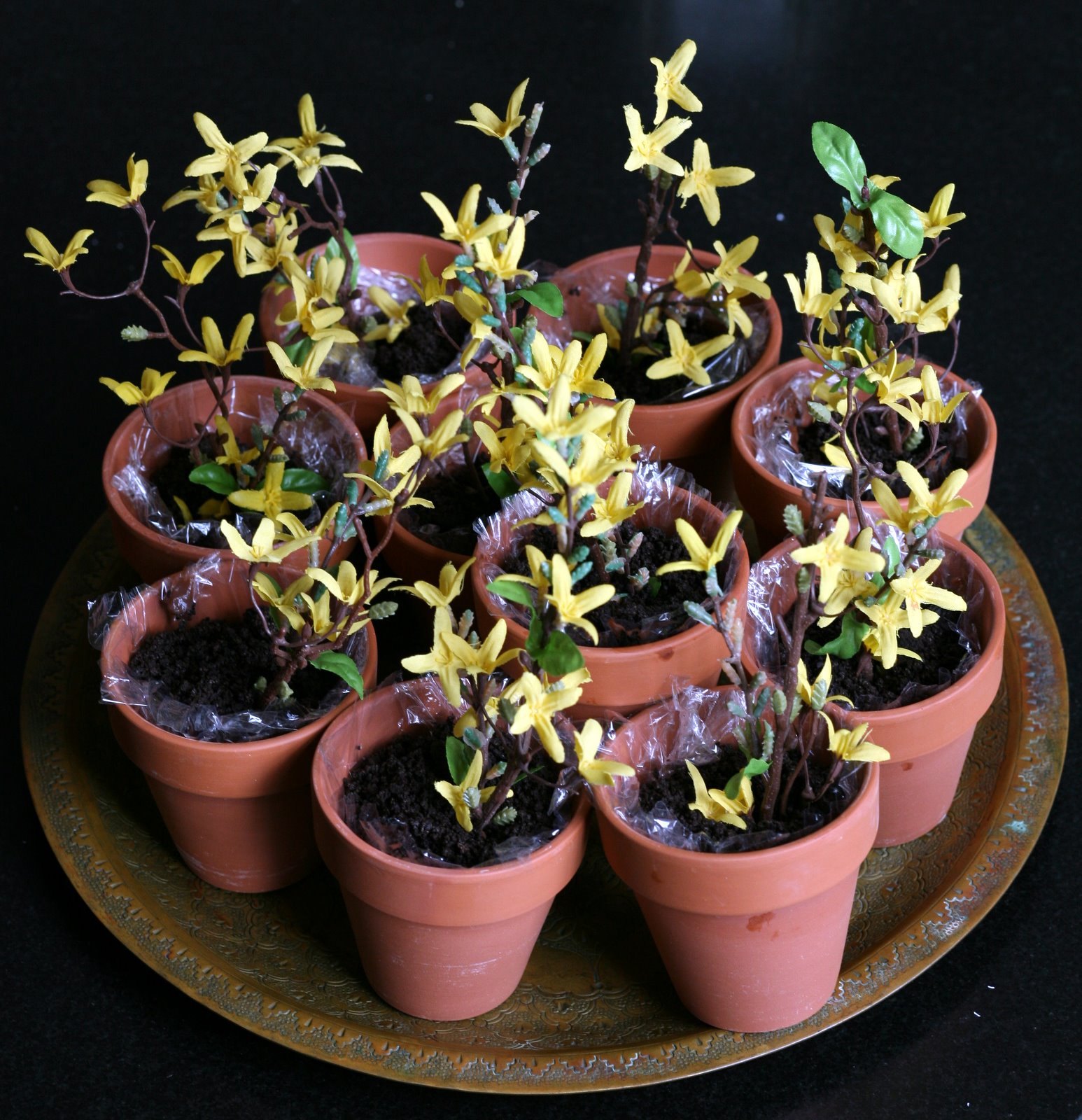 [2007-06-19+075543+2.JPG]