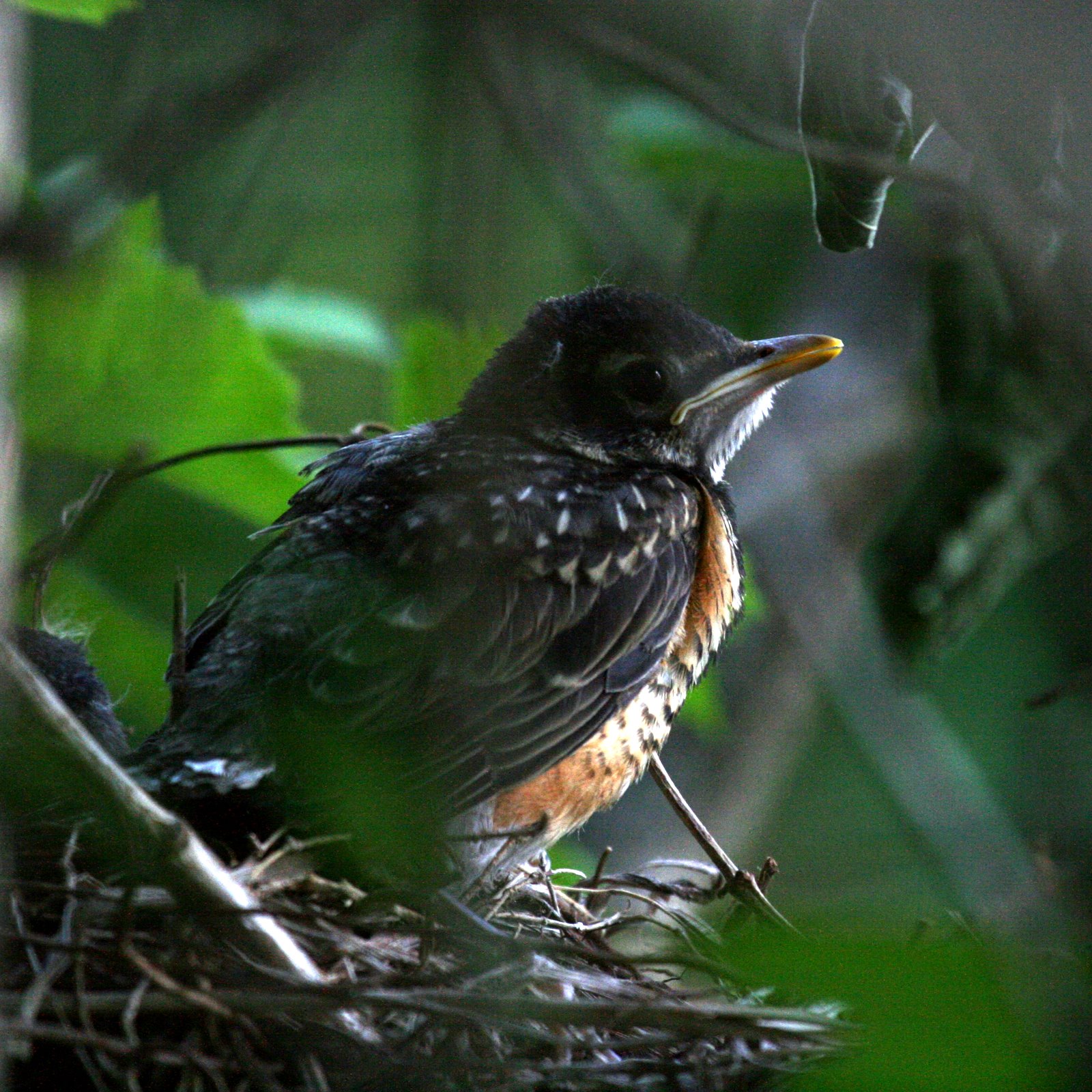 [2007-06-30+193443+8.JPG]