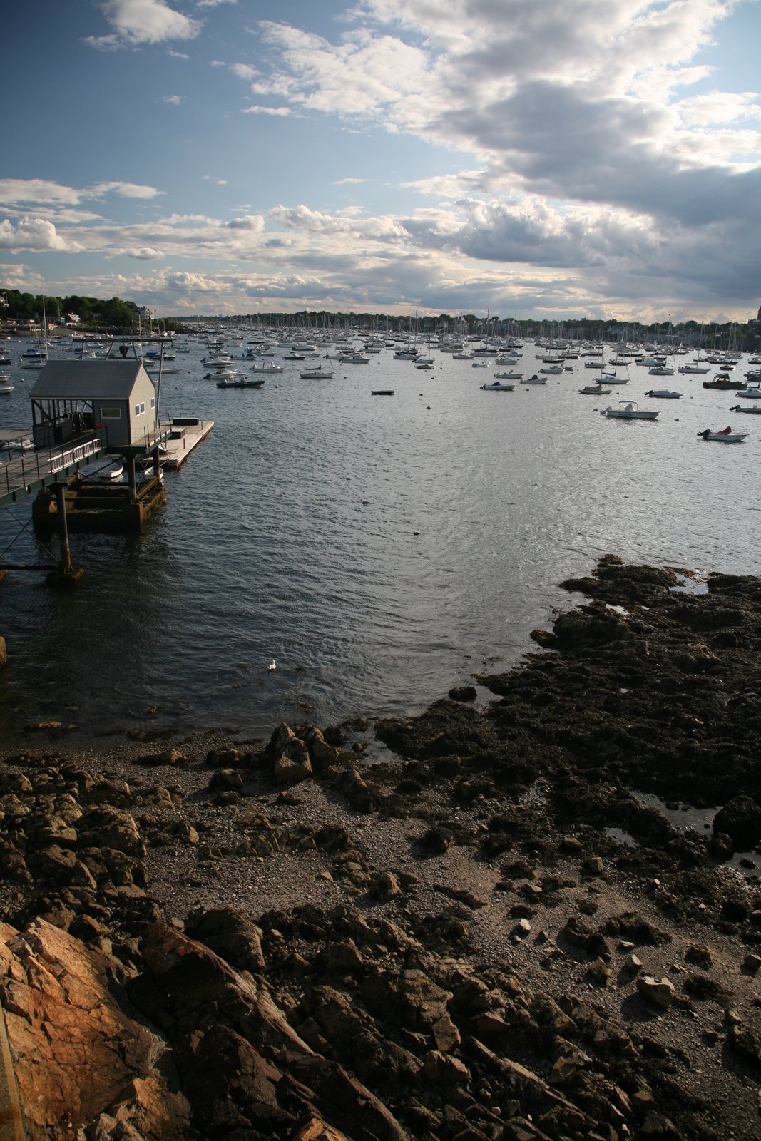 [2007-07-01+182543+8.JPG]