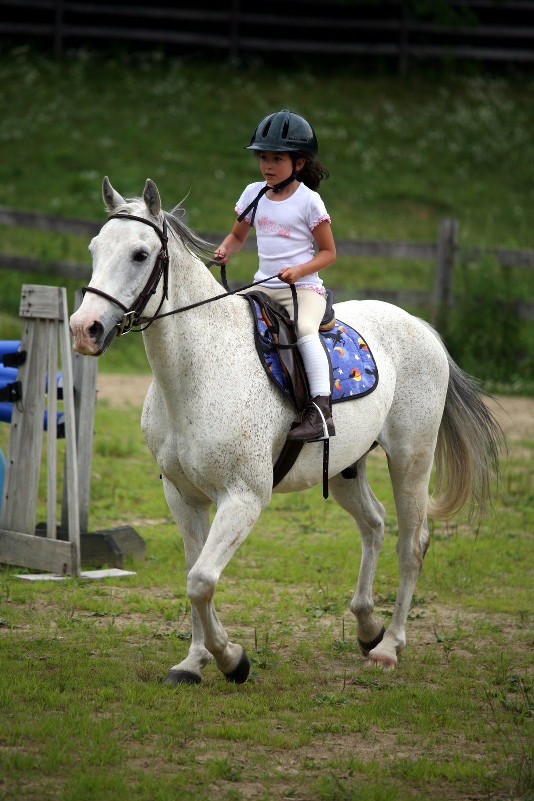 [2007-07-08+105358+0.JPG]