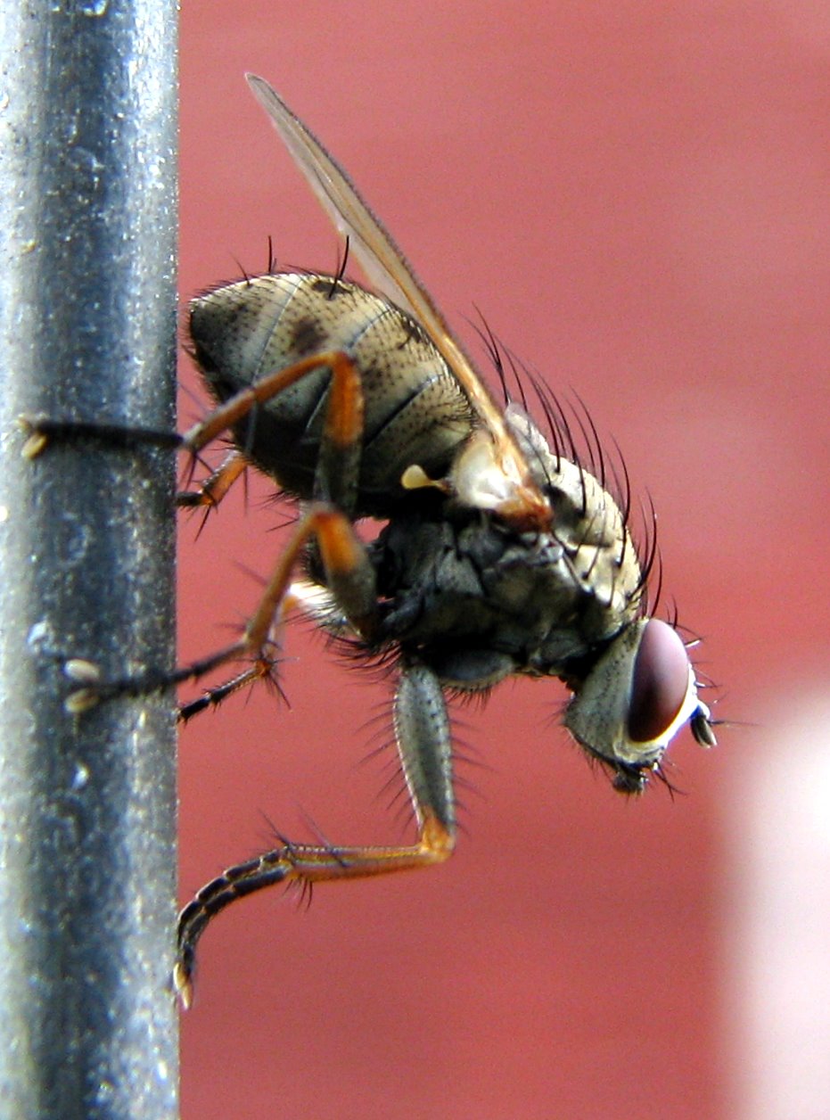 [2007-08-12+091635+7.JPG]