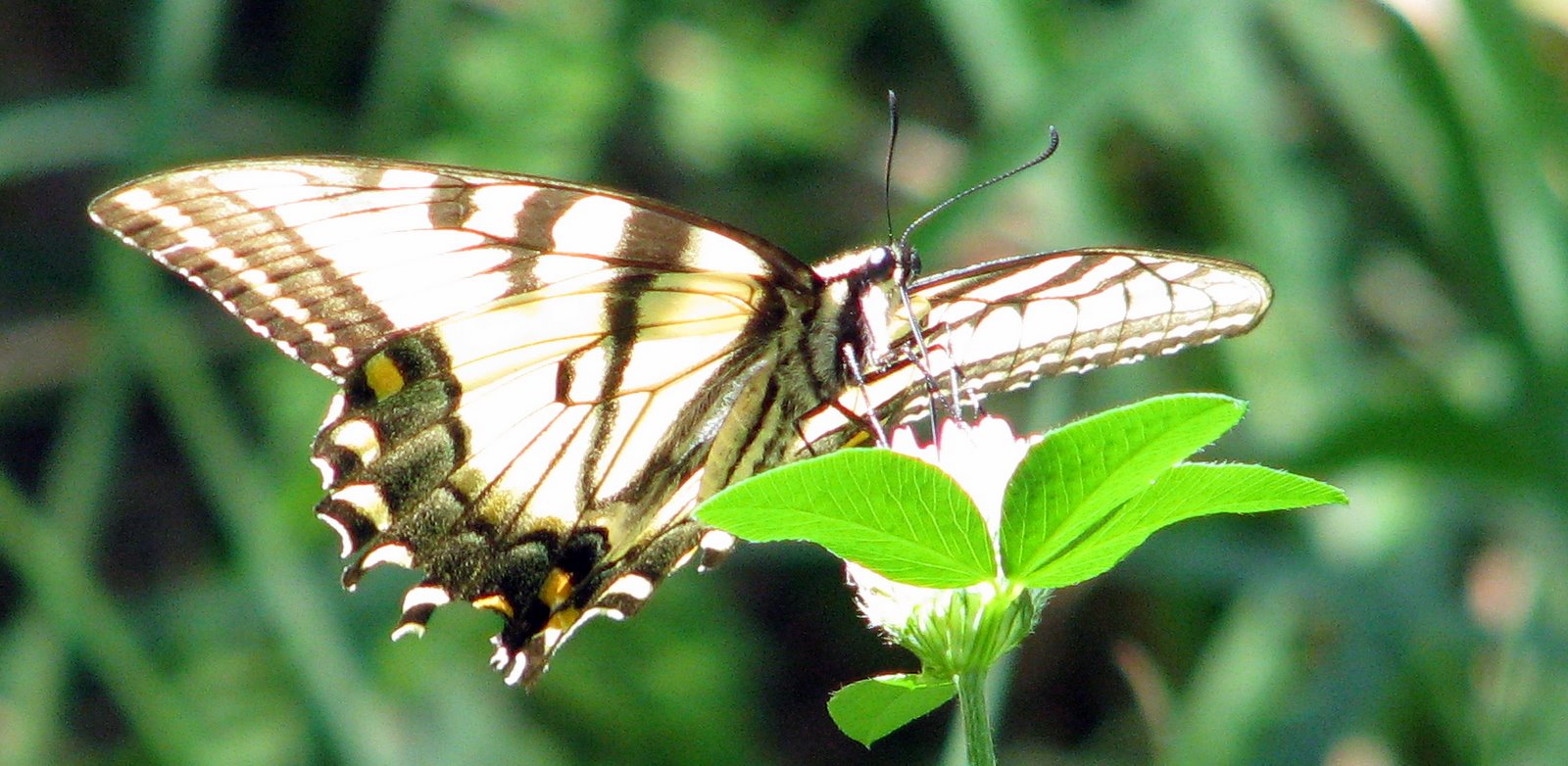 [2007-08-18+133921+9.JPG]