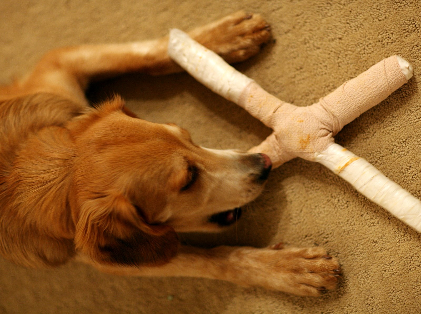 [2007-10-25+1839583.JPG]