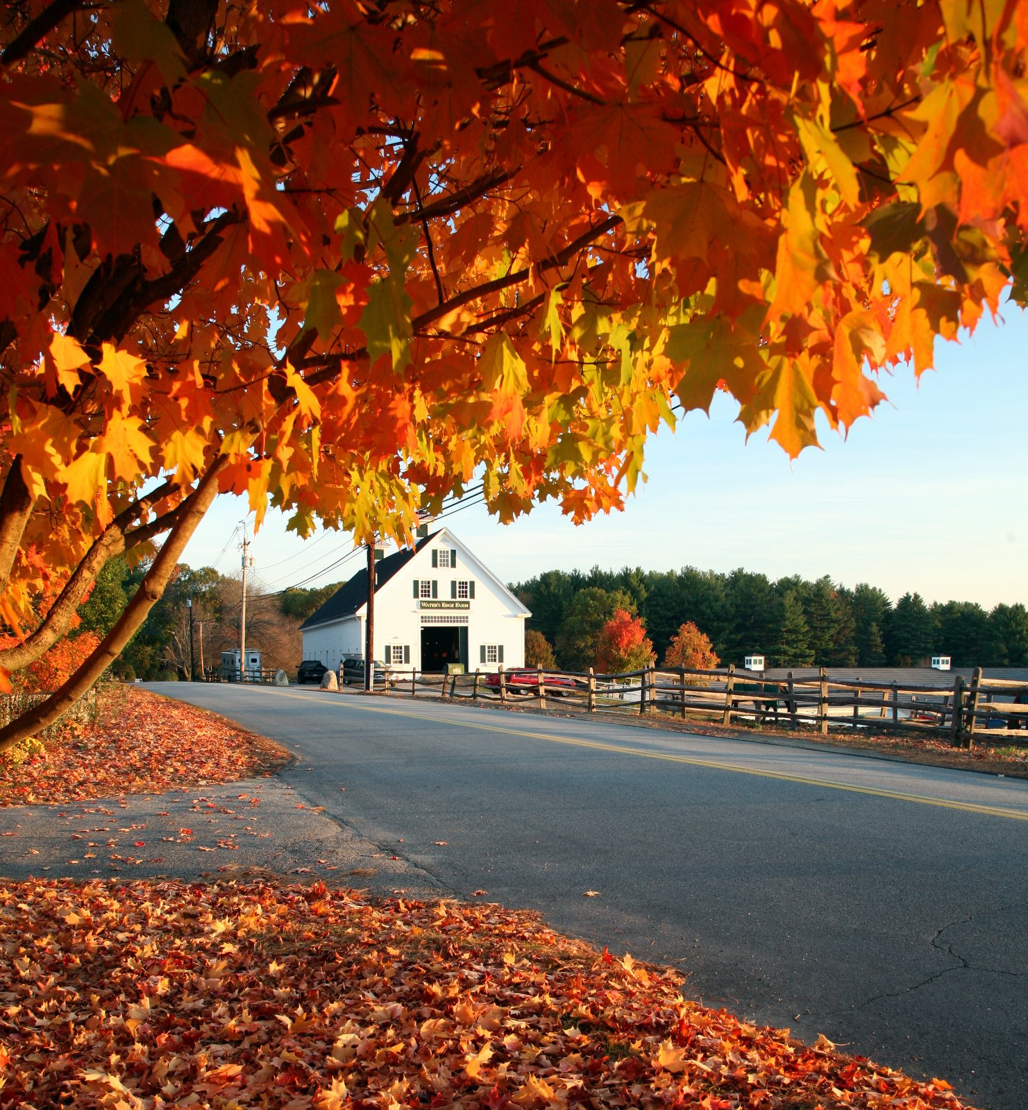 [2007-10-30+0740196.JPG]