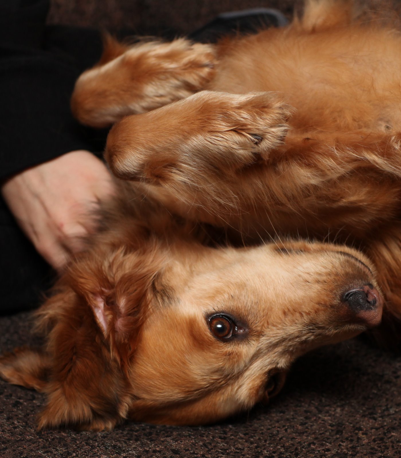 [2010-02-25+223041+731.JPG]