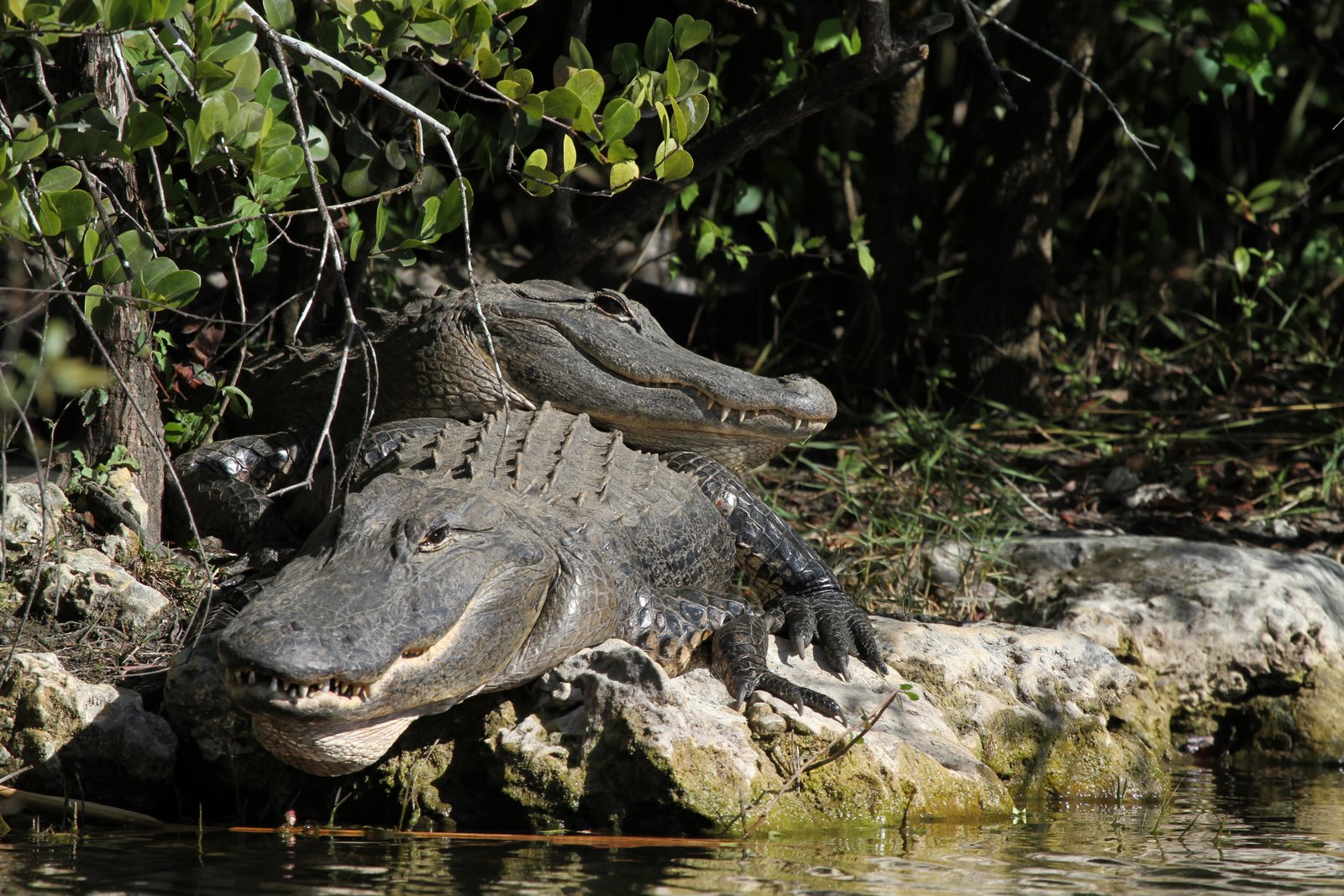 [2010-03-08+154146+342.JPG]