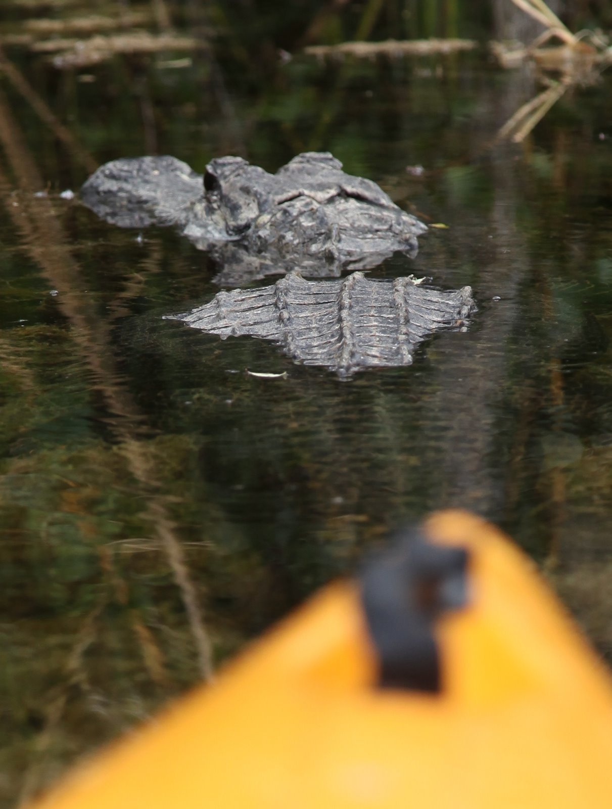 [2010-03-09+125341+580.JPG]