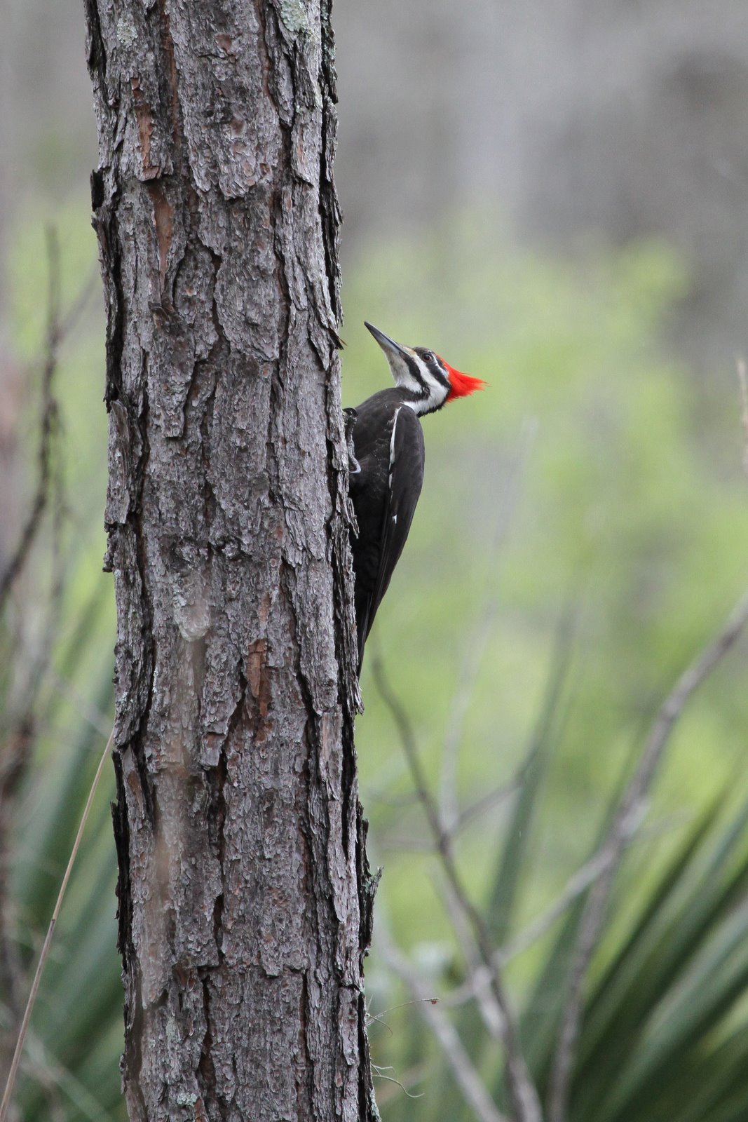 [2010-03-09+160726+627.JPG]