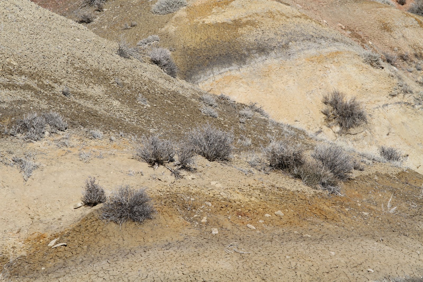 [2010-03-16+184536+370.JPG]