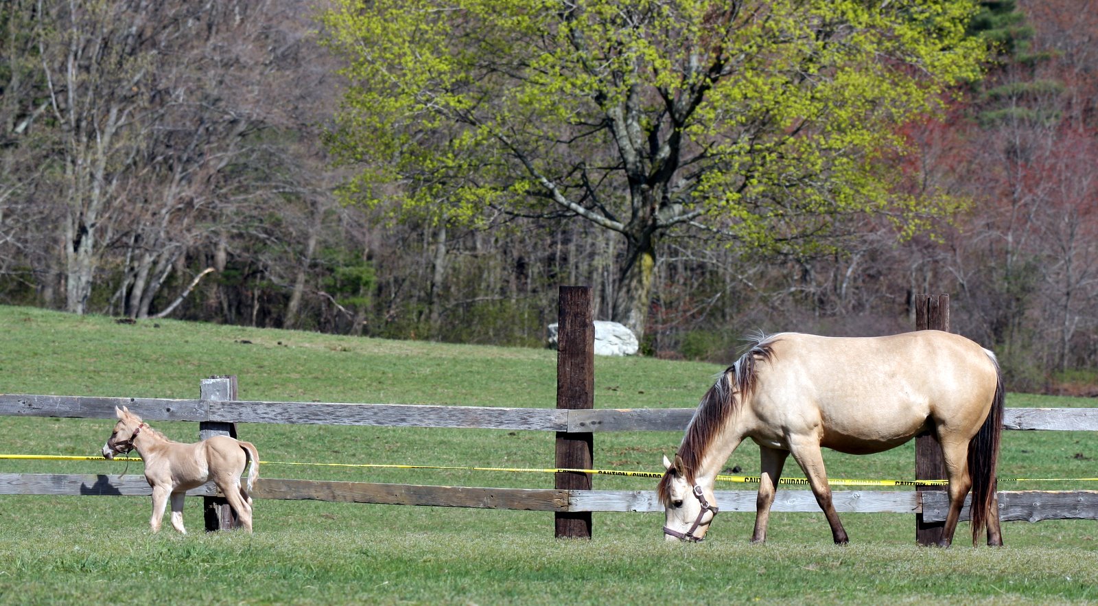 [2008-04-26+1446373.JPG]