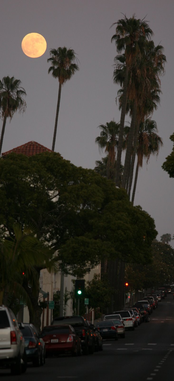 [2008-06-17+2326196.JPG]