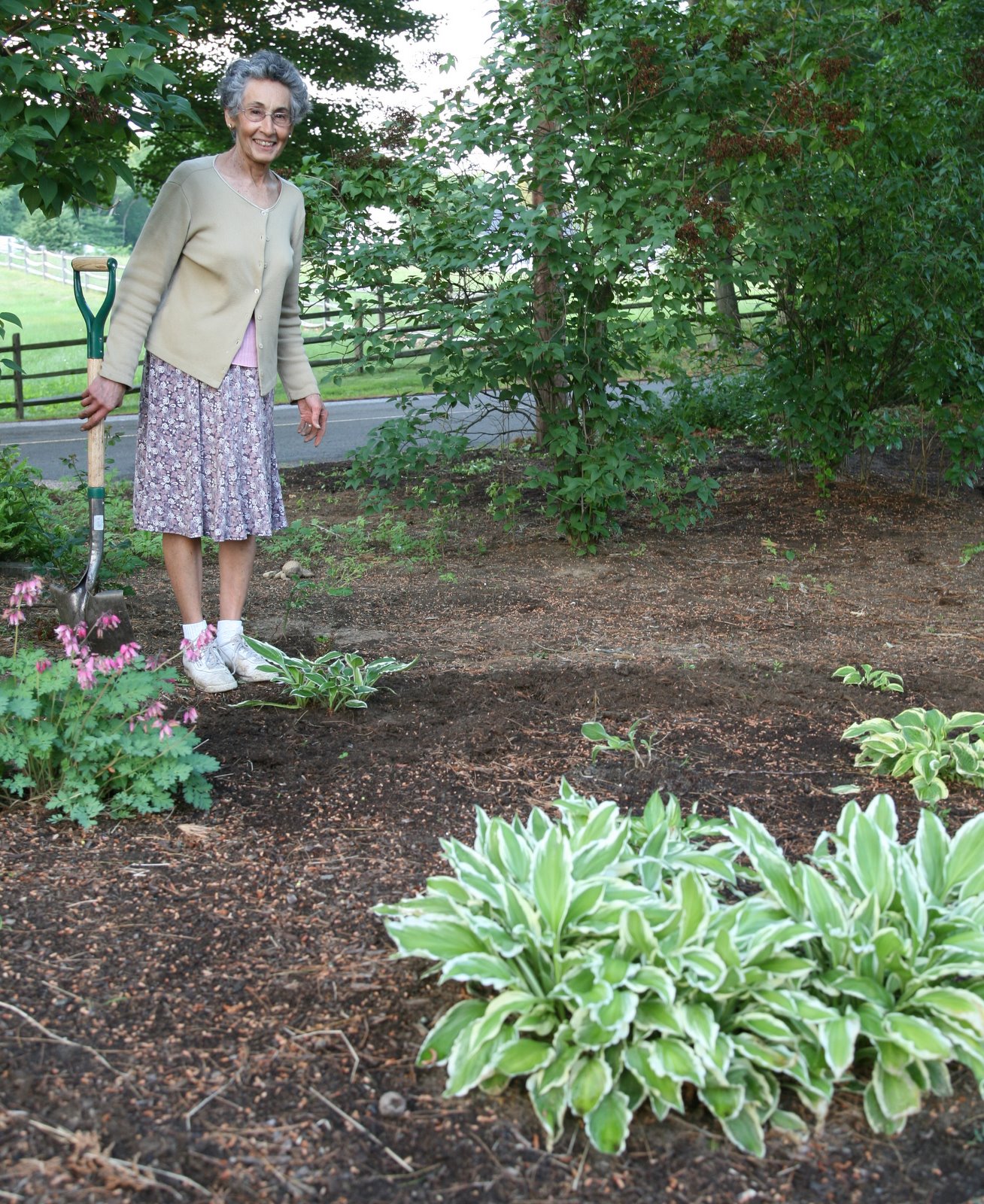 [2008-06-20+1957260.JPG]