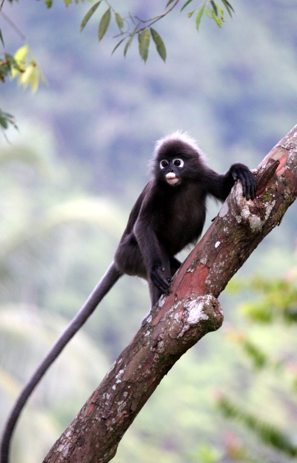 [2008-07-29+0555055.JPG]