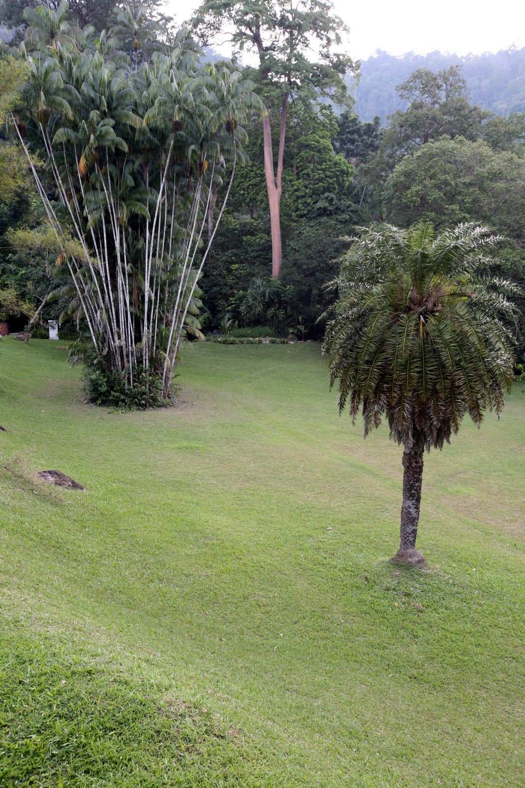 [2008-07-29+0645334.JPG]