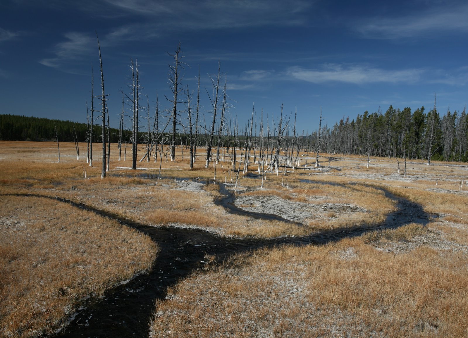 [2008-09-26+1601477.JPG]