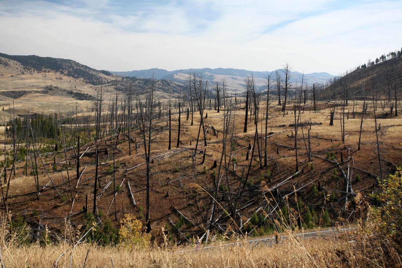 [2008-09-27+1336279.JPG]