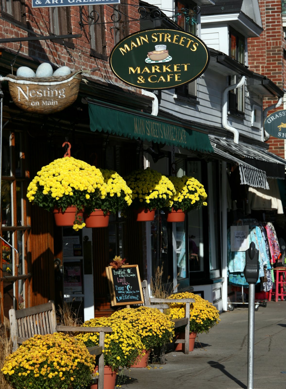 [2008-10-15+1544304.JPG]