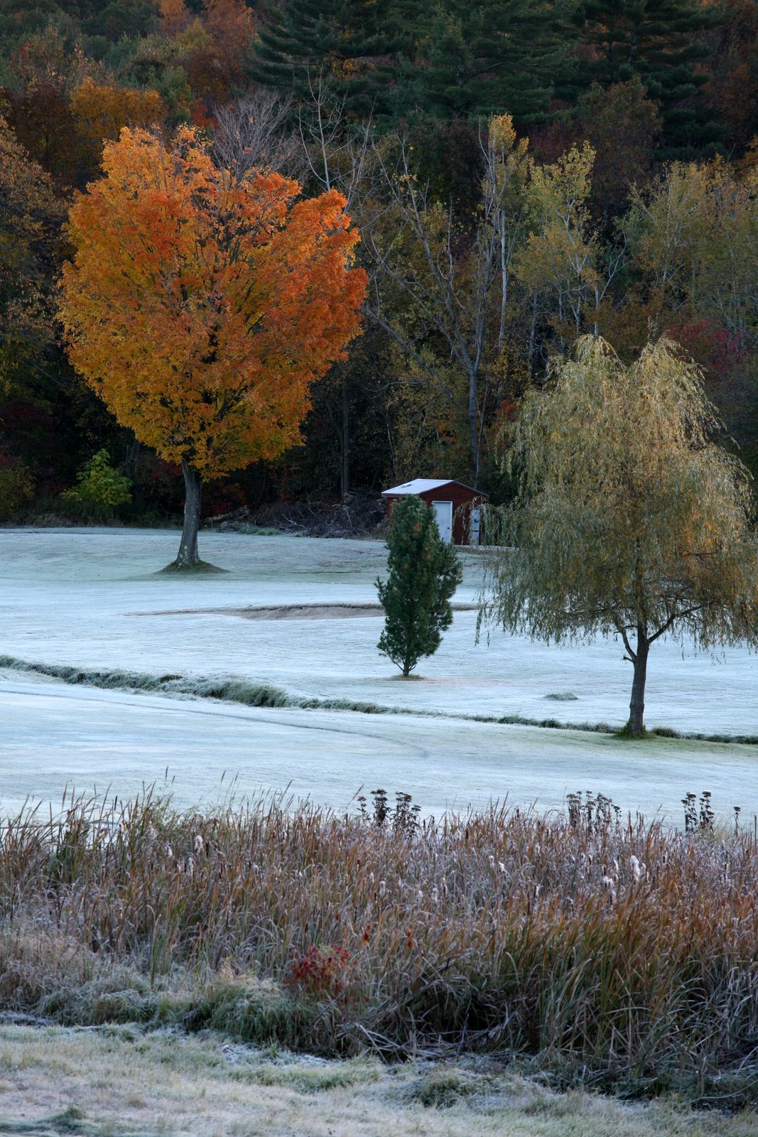 [2008-10-18+0808133.JPG]