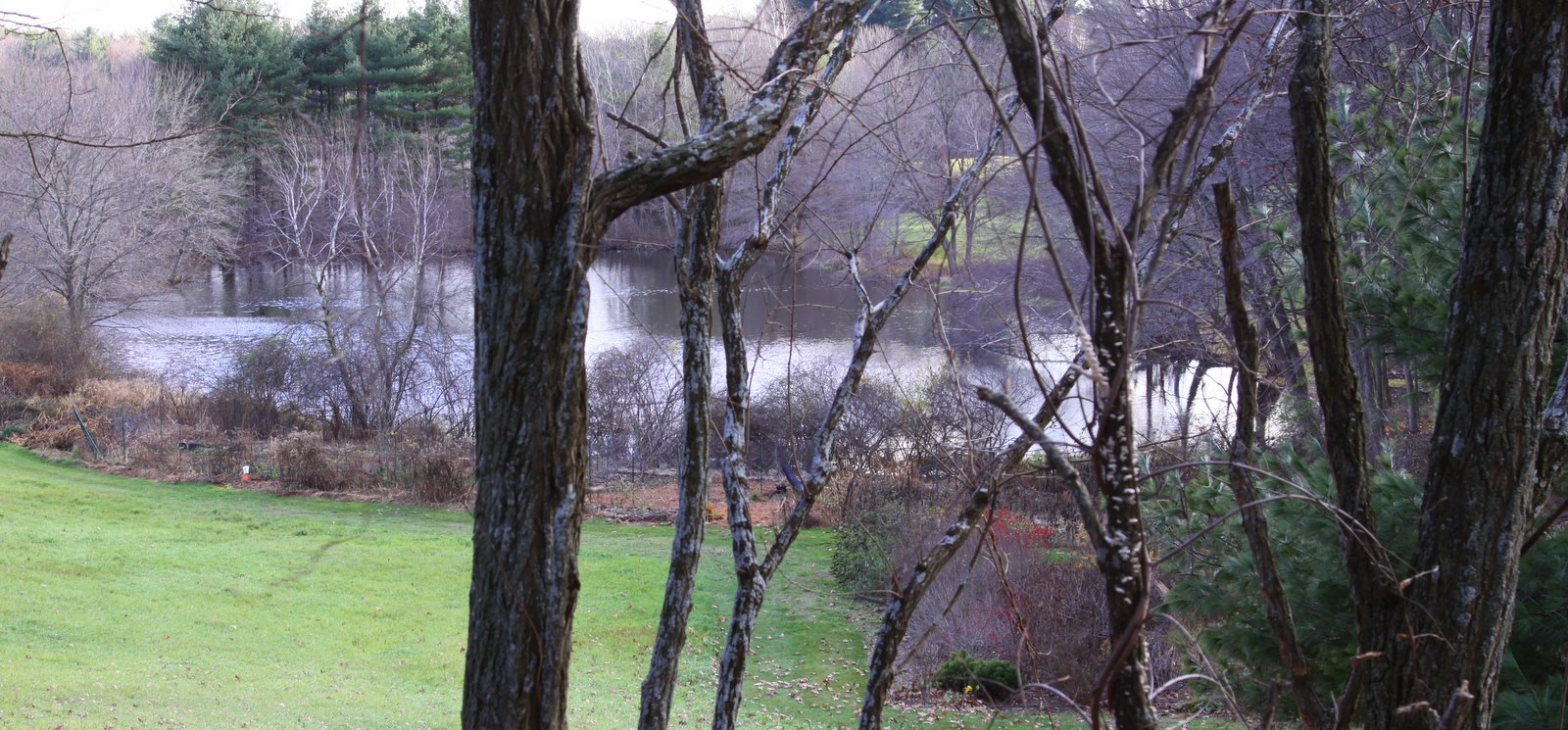 [2008-11-16+1443276.JPG]