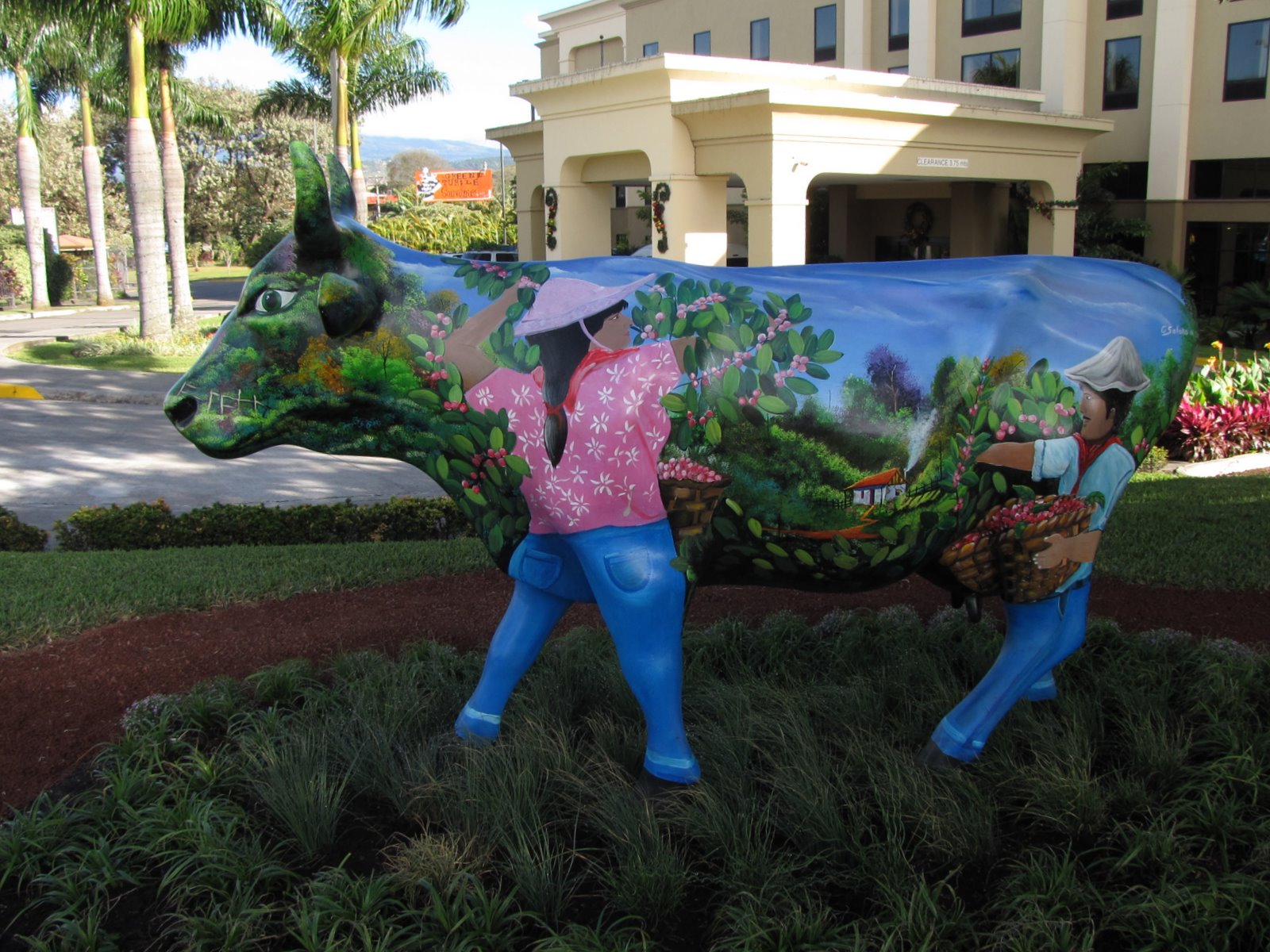 [2008-12-24+0738004.JPG]