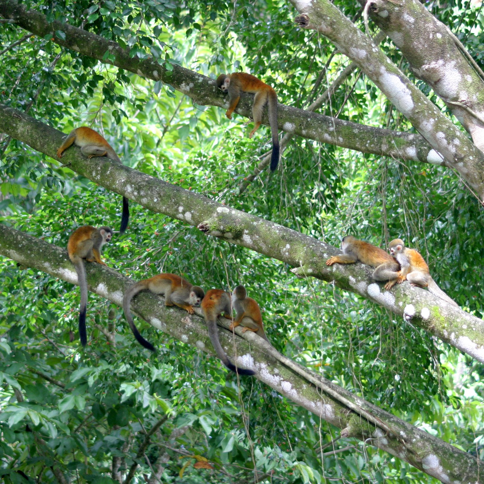 [COLLECTION+047.jpg]