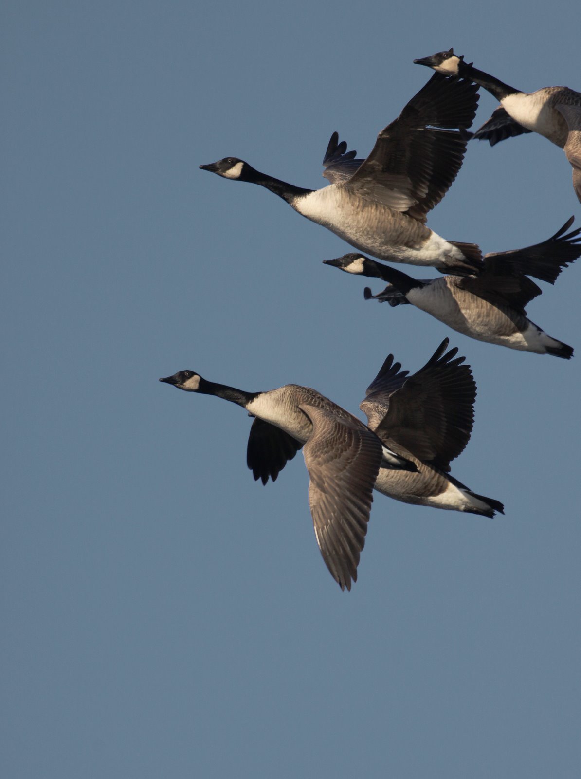 [2009-01-09+142925+7a.jpg]