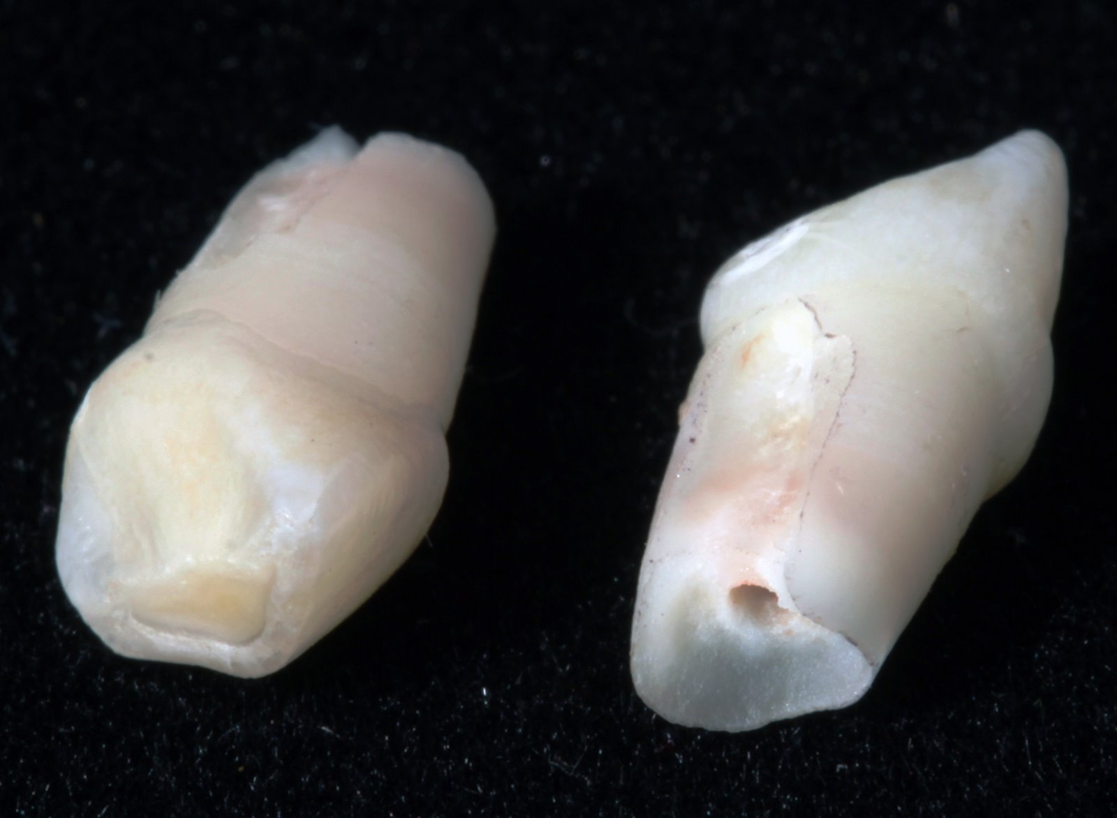 [2009-01-30+185043+2.JPG]