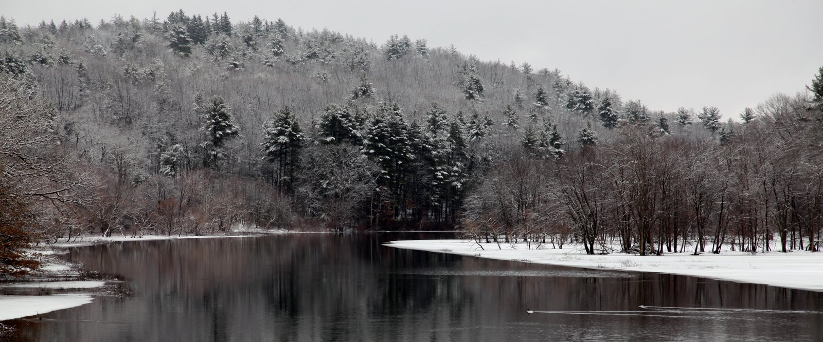 [2009-03-09+095109+0.JPG]