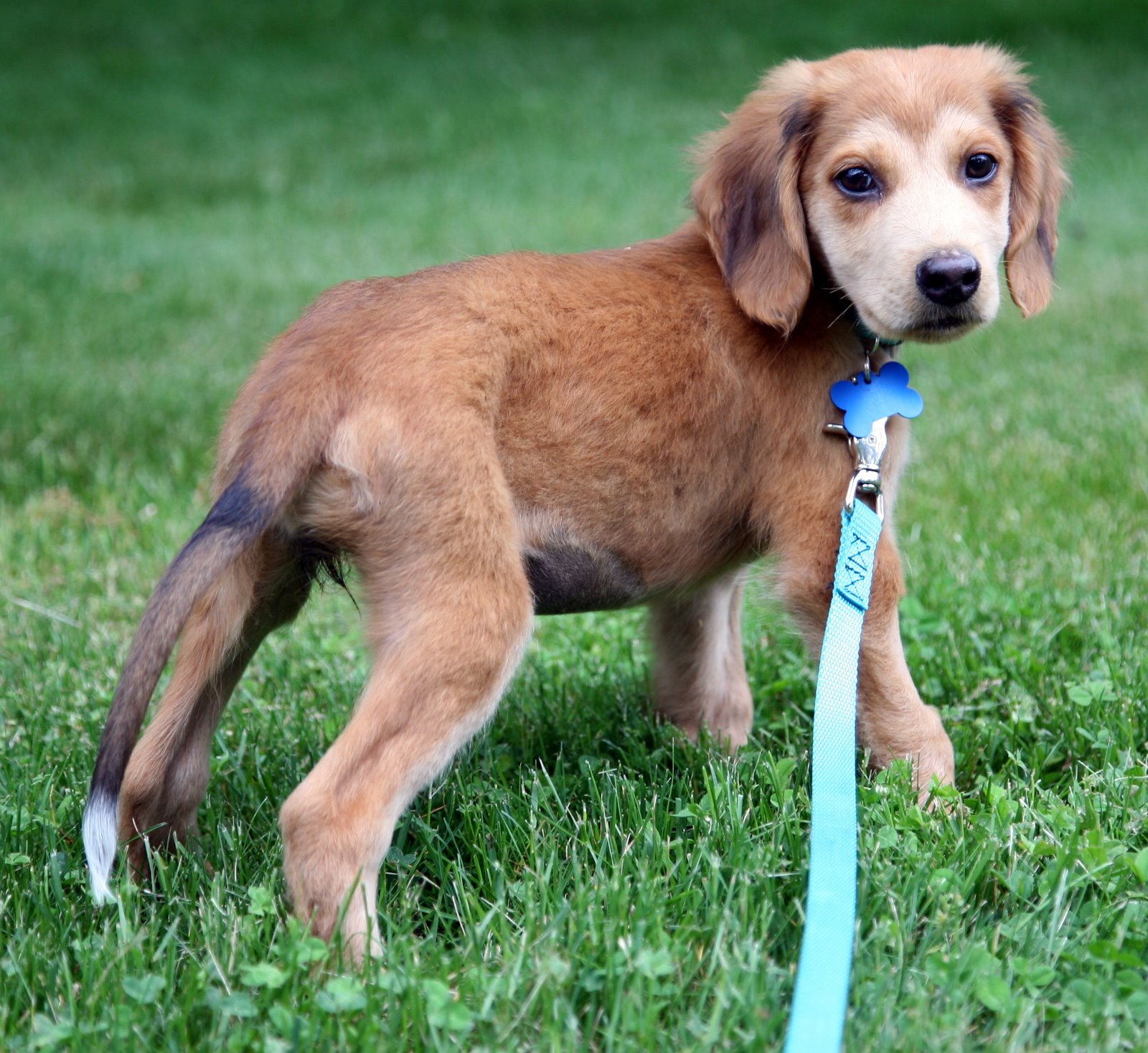 [2007-06-07+183126+8.JPG]