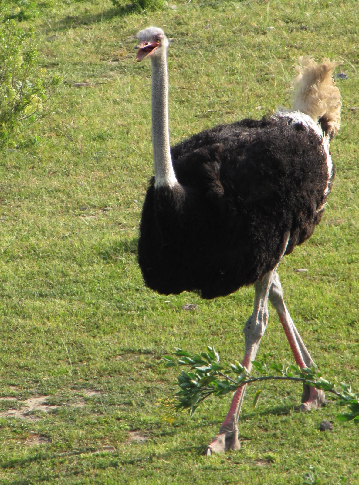 [2009-03-25+192808+0.JPG]