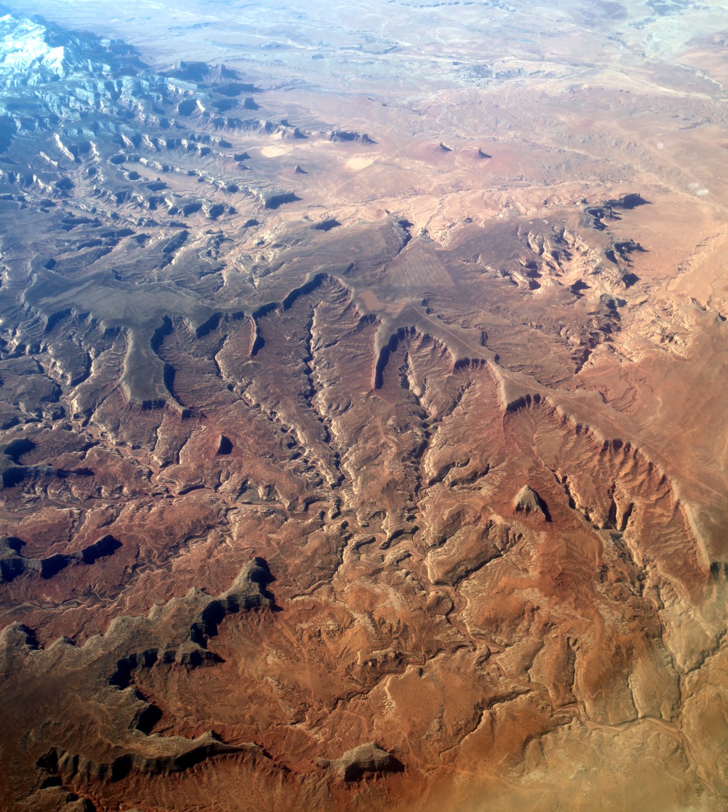 [2009-04-06+114652+6.JPG]