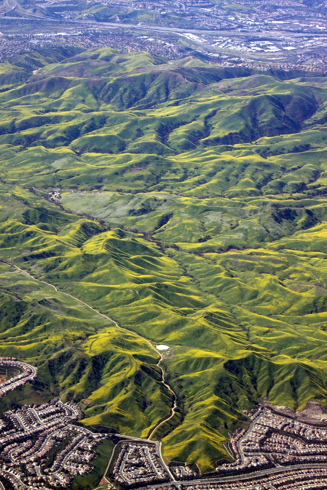 [2009-04-06+125234+4.JPG]