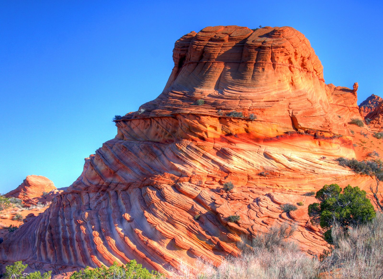 [2009-04-08+090212+0_1_9.jpg]