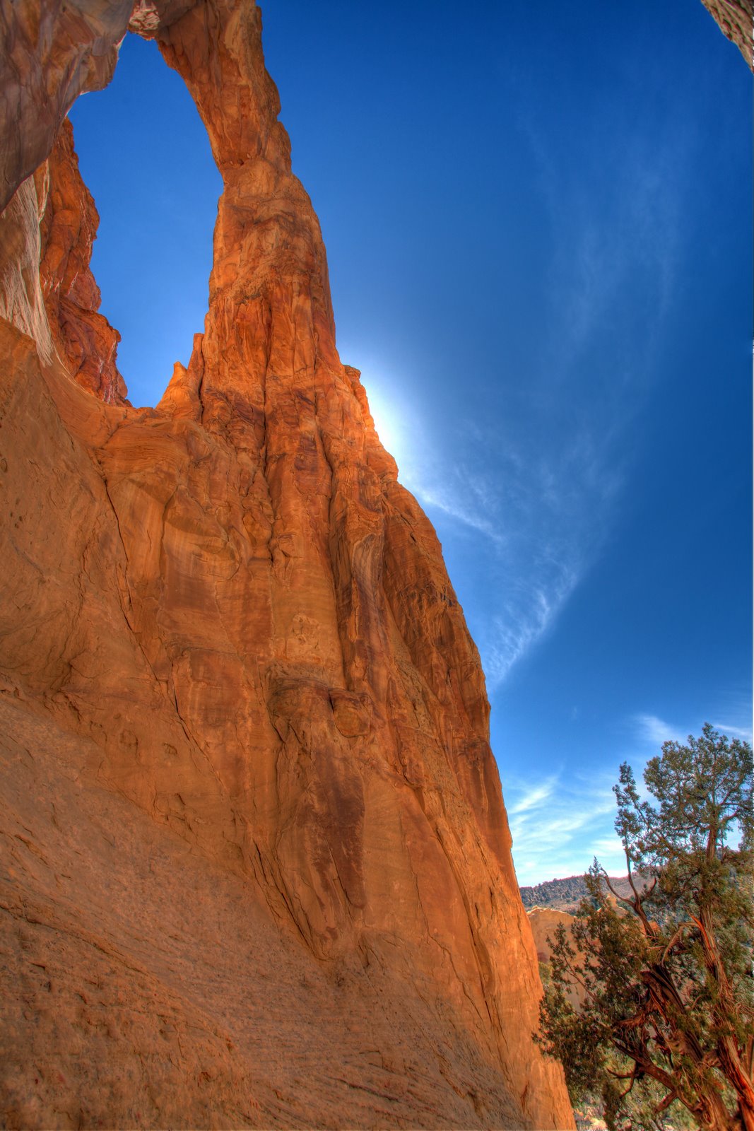 [2009-04-09+111224+6_4+7_5+8.jpg]