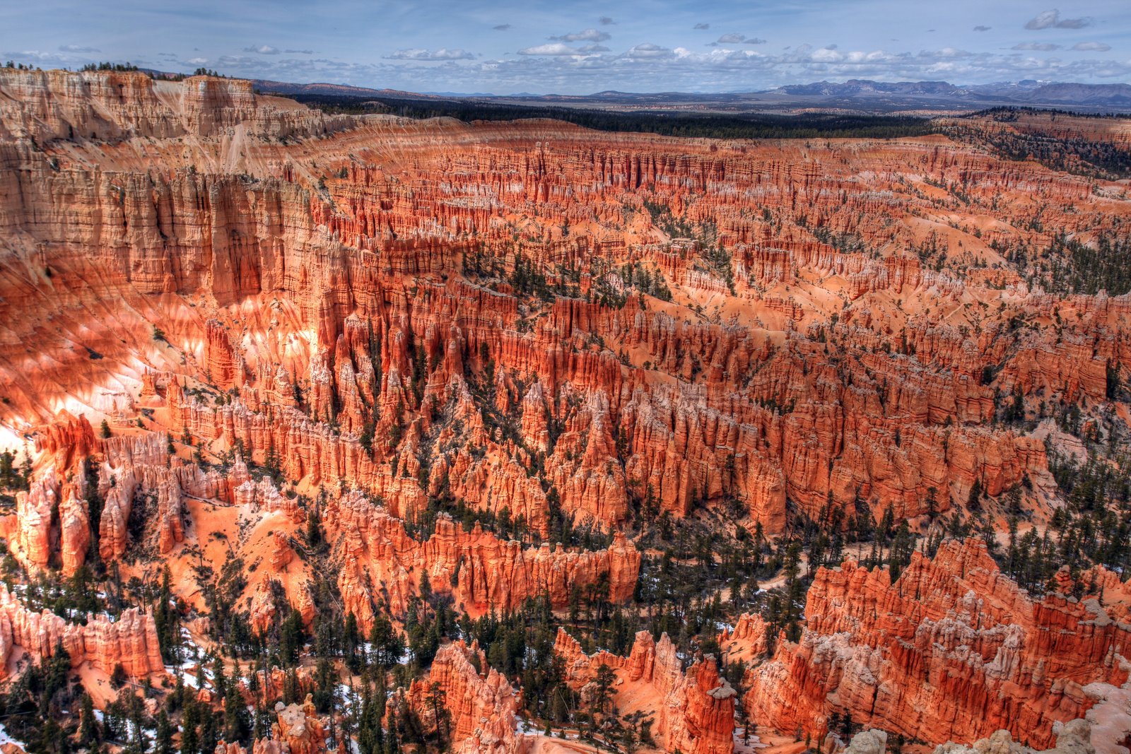 [2009-04-09+140448+6_57+7.jpg]