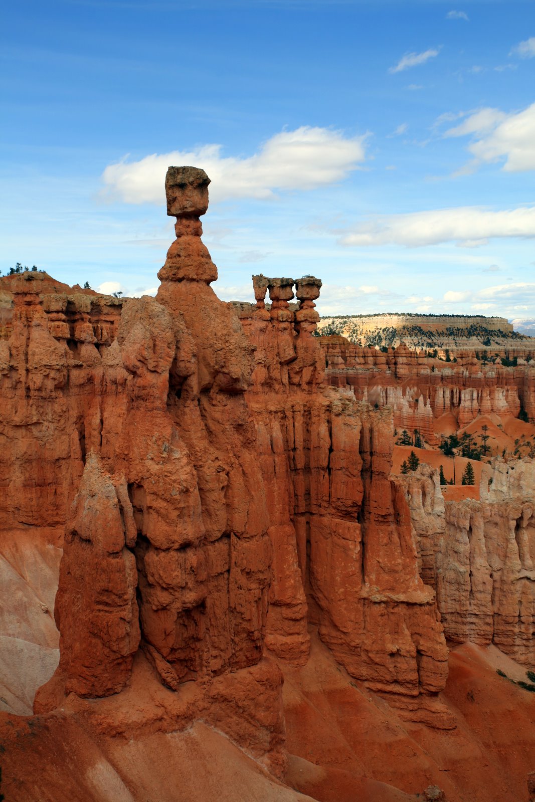 [2009-04-09+154610+5.JPG]