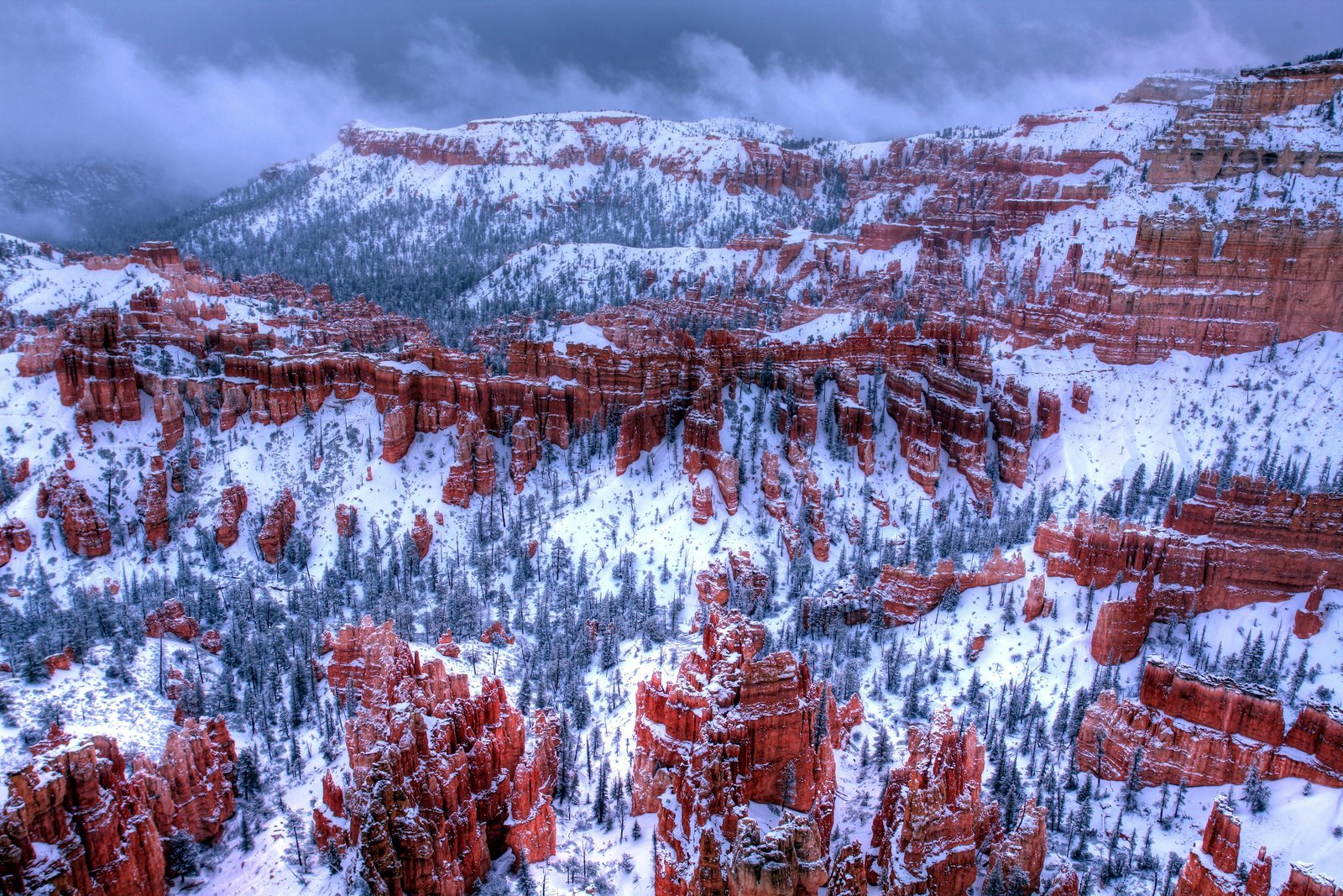 [2009-04-11+071216+1_6+2_7+3.jpg]