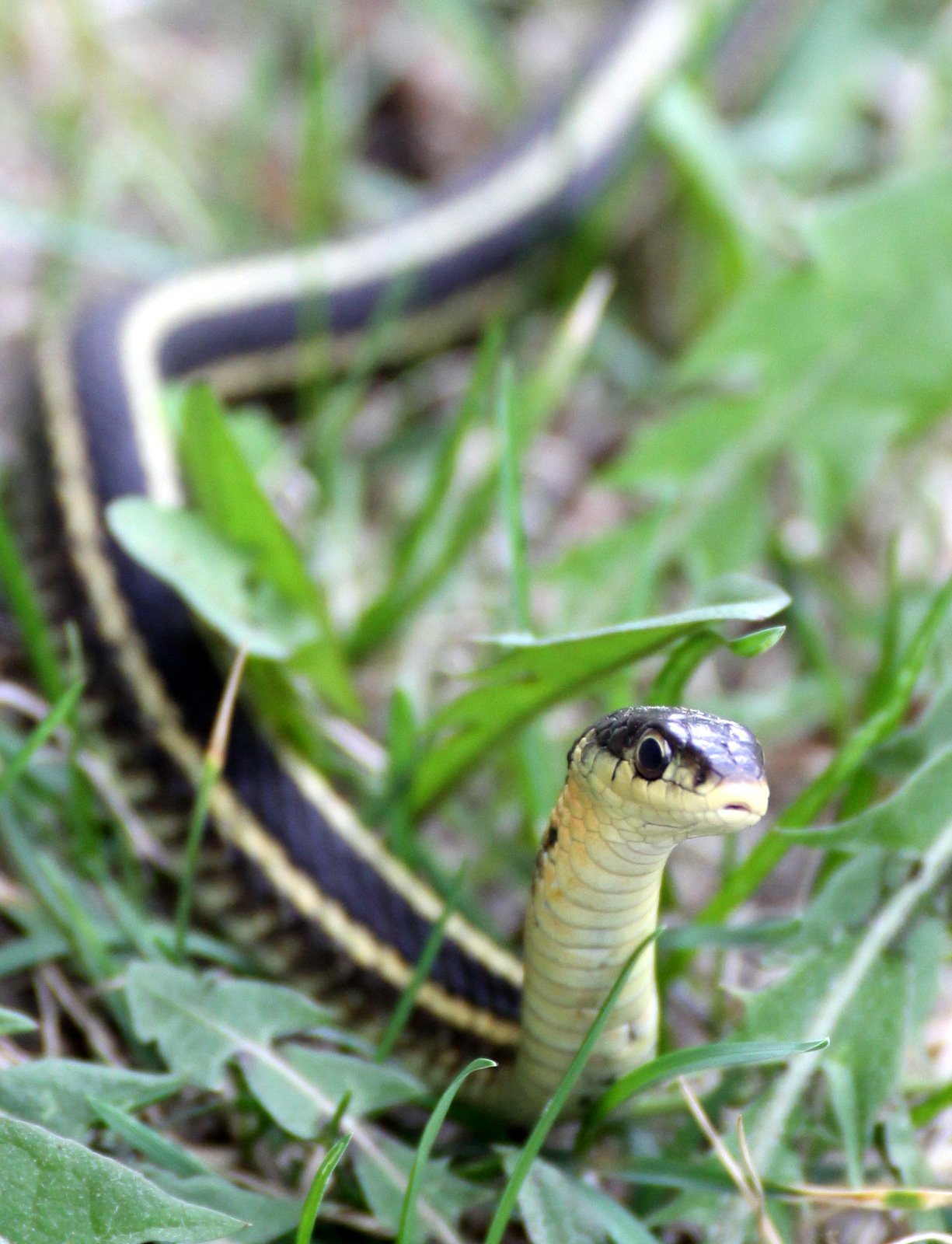 [2009-04-26+122632+2.JPG]