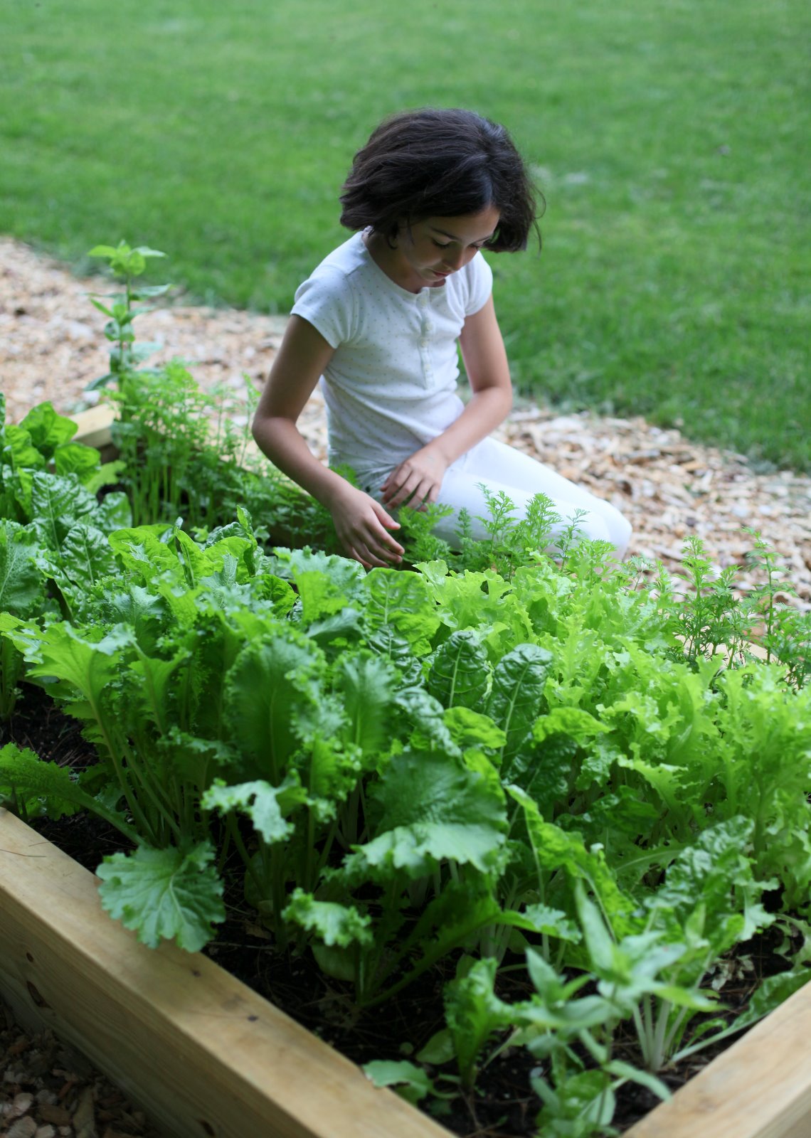 [2009-06-28+191303+7.JPG]