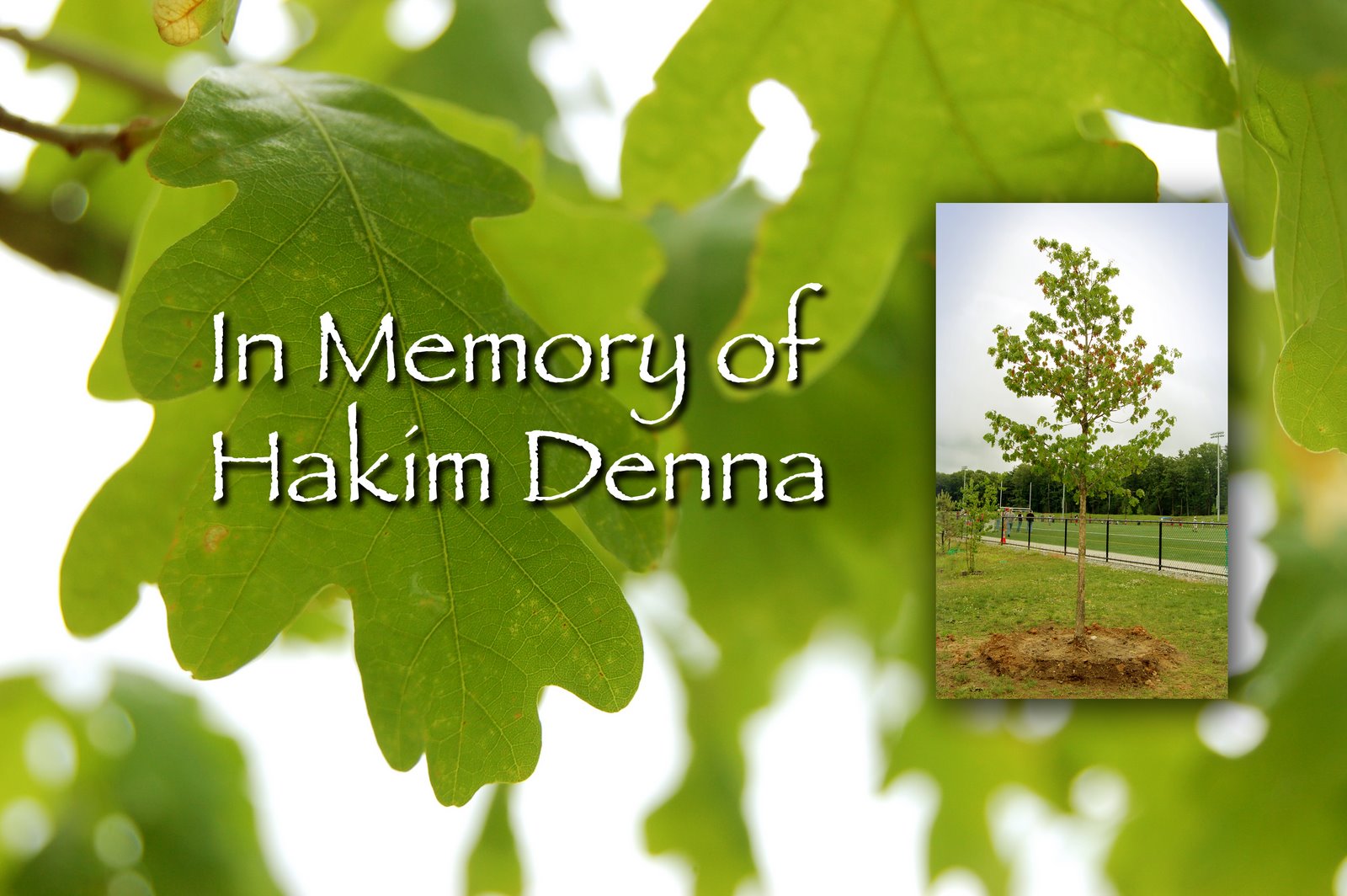 [InMemory_Hakim.jpg]