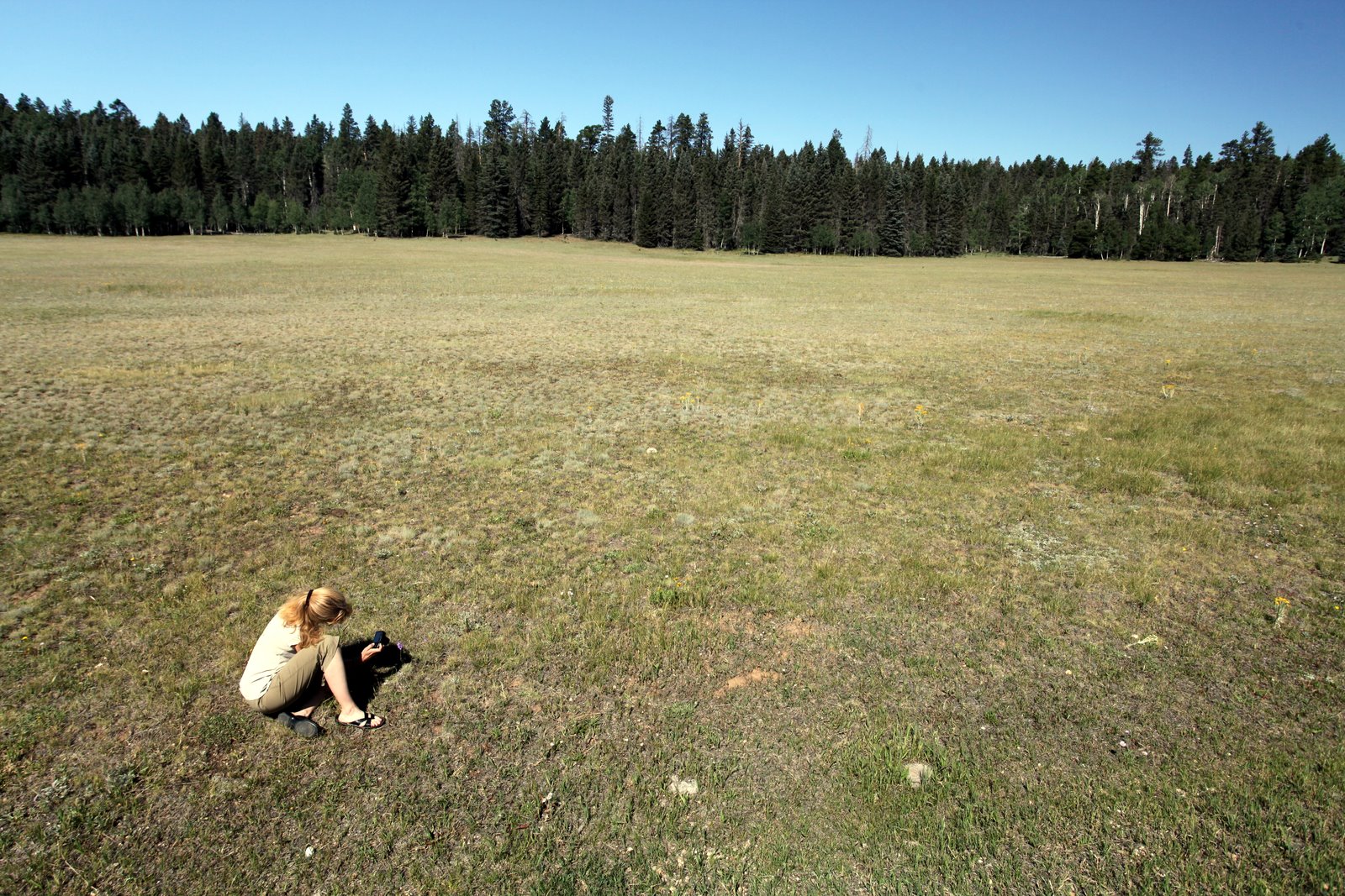 [2009-08-03+093333+4.JPG]