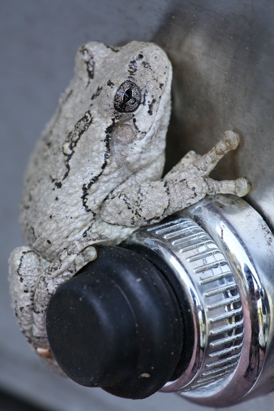 [2009-08-08+131105+6.JPG]